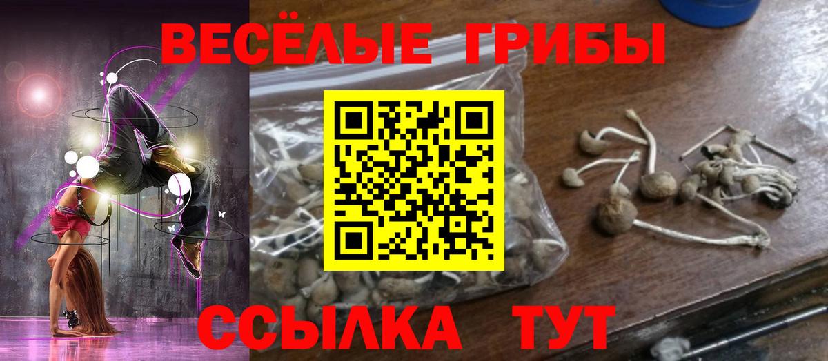Галлюциногенные грибы ЛСД Котовск