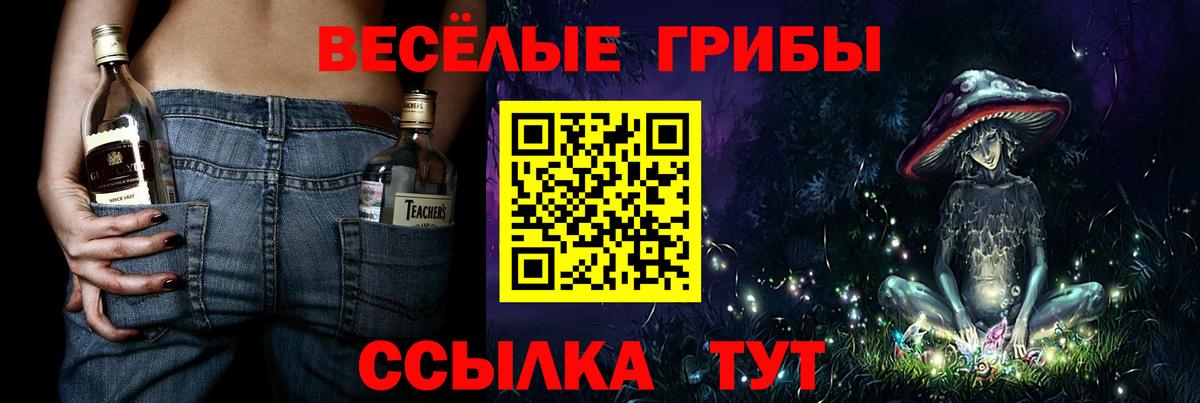 Псилоцибиновые грибы GOLDEN TEACHER  Вход с VPN  Котовск 